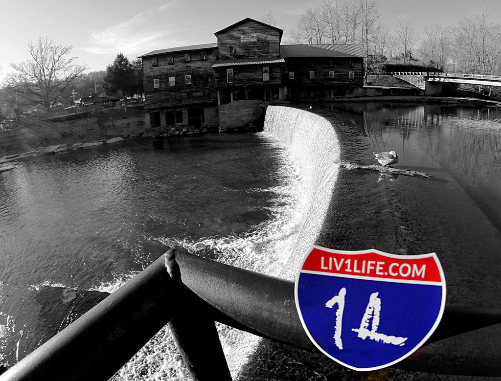 Work Hard, Play Hard?